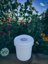 Load image into Gallery viewer, Honey truly raw