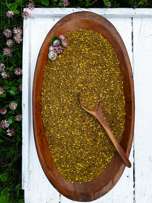 Clover Bee pollen