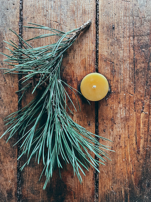 Beeswax Tealight