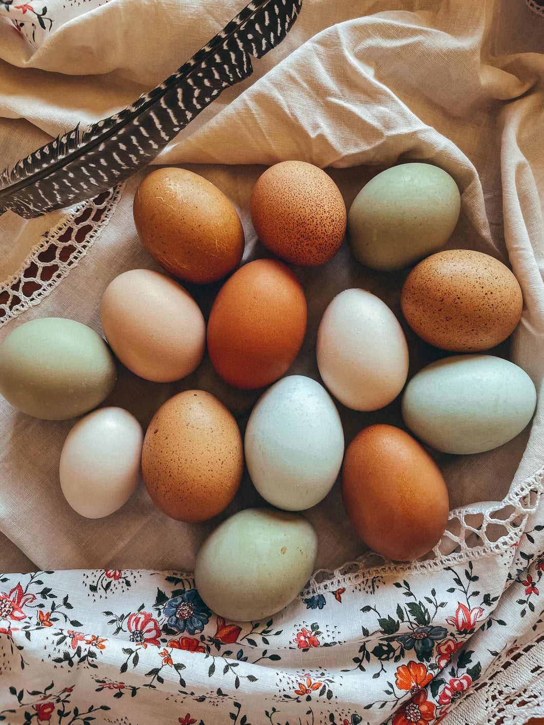 Farm fresh eggs - Pasture raised